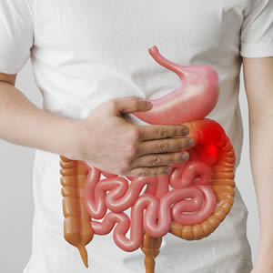 Digestion